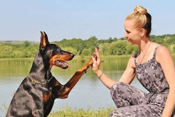 馬犬狗狗名字大全霸氣