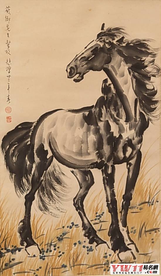 屬馬最佳配對