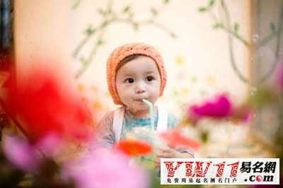 牛寶寶性格特點(diǎn)有哪些？