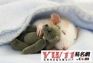 最搞笑的網(wǎng)絡(luò)游戲名字，笑死人的游戲玩家角色名字大全 www.keaidian.com