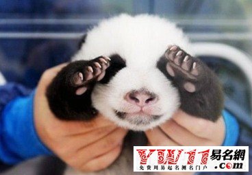 比較犀利的名字：豬肉漲價了，你也值錢了