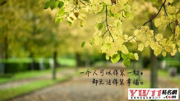 2020傷感網名大全 border=