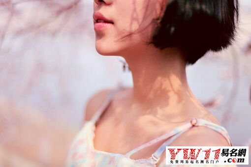 點(diǎn)擊查看大圖