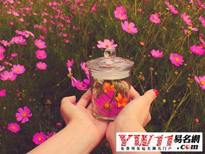 唯美古風網(wǎng)名大全
