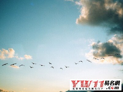 唯美古風網(wǎng)名大全