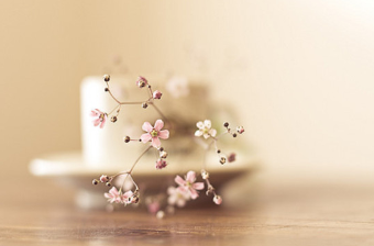 最新qq勵(lì)志說(shuō)說(shuō)心情短語(yǔ)大全