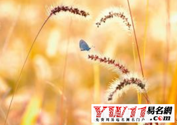 那些說(shuō)到心坎的文字唯美