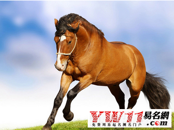 屬馬人2017年運(yùn)勢(shì)