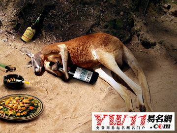 夢見袋鼠