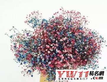 夢(mèng)幻游戲名字