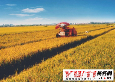 農業(yè)公司取名