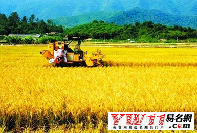 農業(yè)公司取名