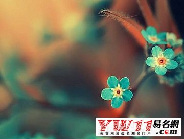 傷感詩(shī)意的句子