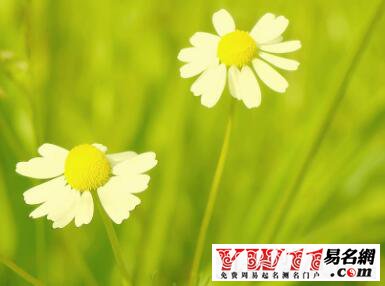 男生好聽(tīng)的繁體字網(wǎng)名