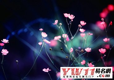傷感說(shuō)說(shuō)圖片