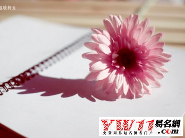 陽光點(diǎn)的網(wǎng)名