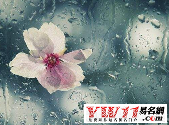夢見下雨是什么征兆？