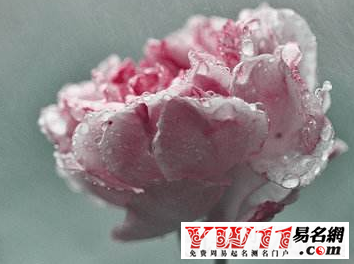 夢見下雨是什么征兆？