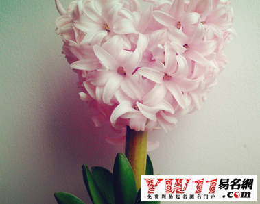 好聽(tīng)的兩個(gè)字微信名字