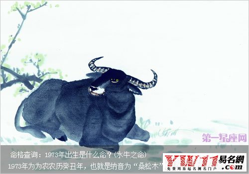 1973年出生是什么命？(水牛之命)
