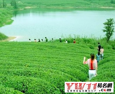 生態(tài)農業(yè)公司起名字大全