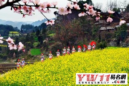 苗族的傳統(tǒng)節(jié)日,苗族的風俗慣