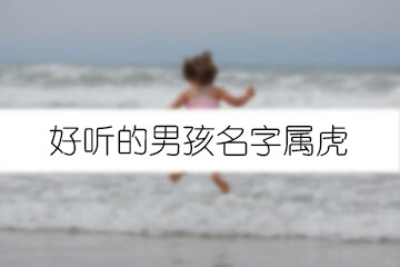 好聽(tīng)的男孩名字屬虎