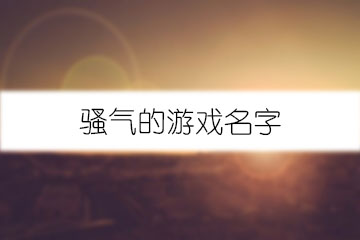 騷氣的游戲名字