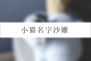 小貓名字沙雕