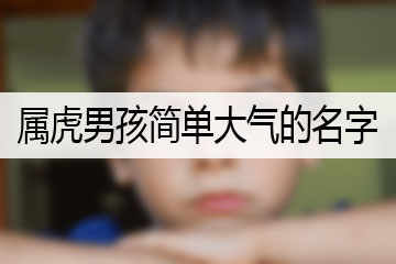 屬虎男孩簡單大氣的名字