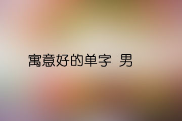 寓意好的單字 男