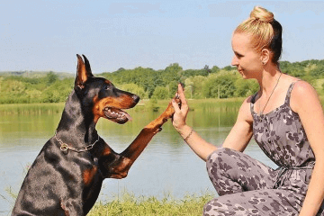 馬犬叫什么名字霸氣