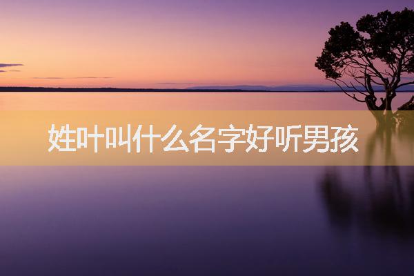 姓葉叫什么名字好聽(tīng)男孩
